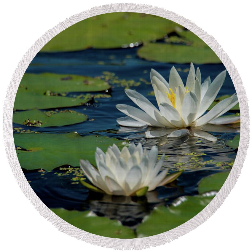 Lily Round Beach Towel featuring the photograph Water Lilies by Paul Mashburn