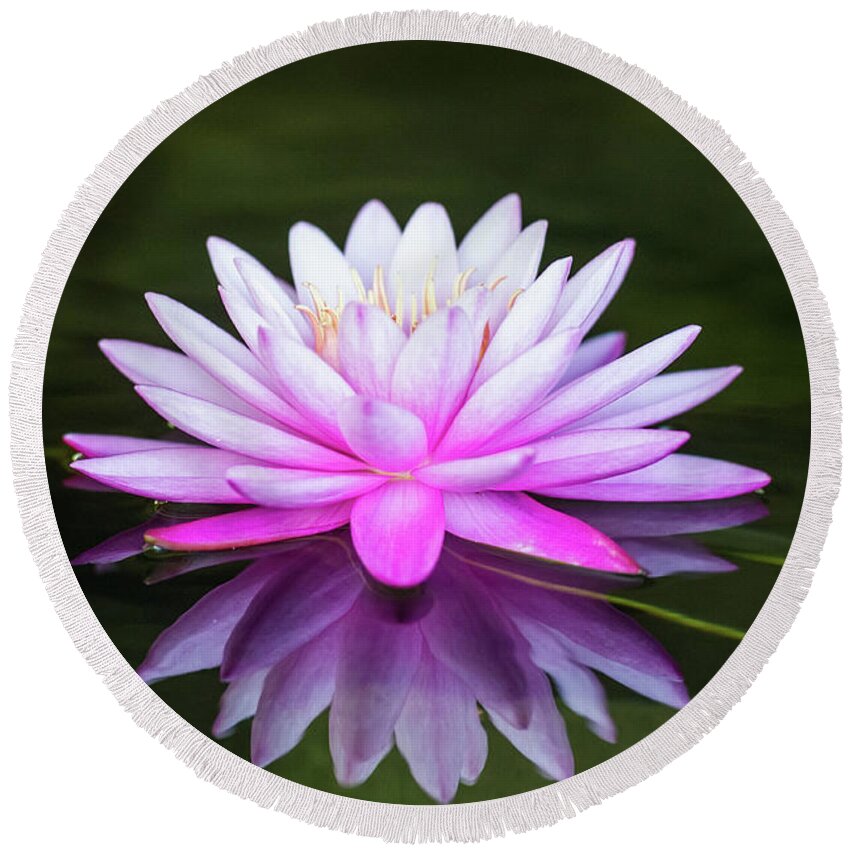 Tropical Round Beach Towel featuring the photograph Water Lily by Ed Taylor
