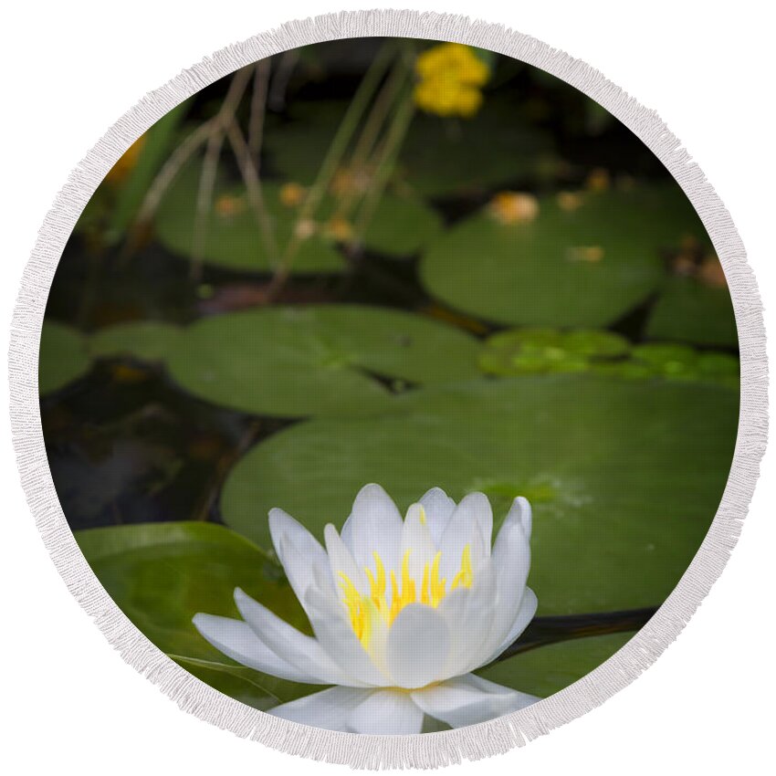 Water Round Beach Towel featuring the photograph Water Lily III by Ricky Barnard