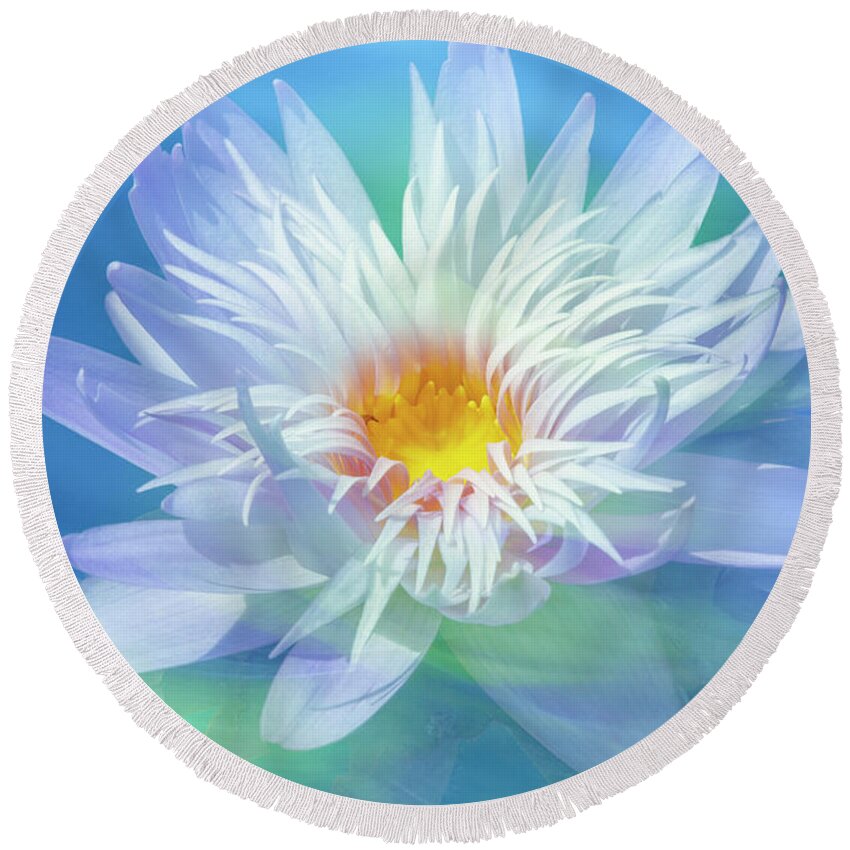 Water Round Beach Towel featuring the photograph Water Lily in Turquoise Pond by Heiko Koehrer-Wagner