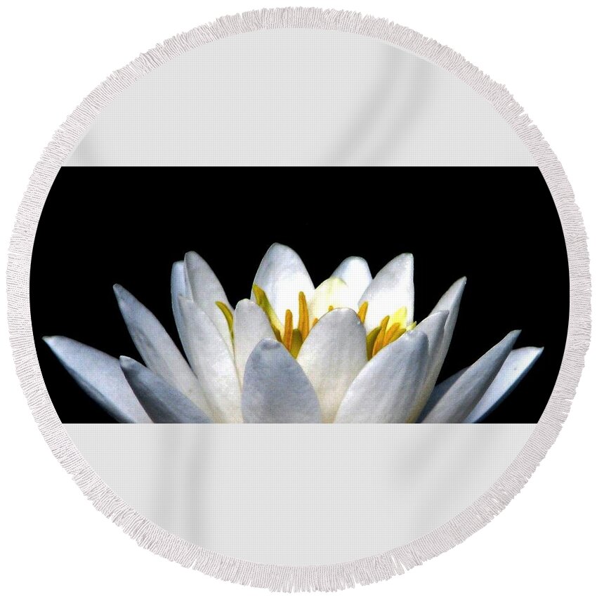 Water Lily Petals Round Beach Towel featuring the photograph Water Lily Petals by Angela Davies