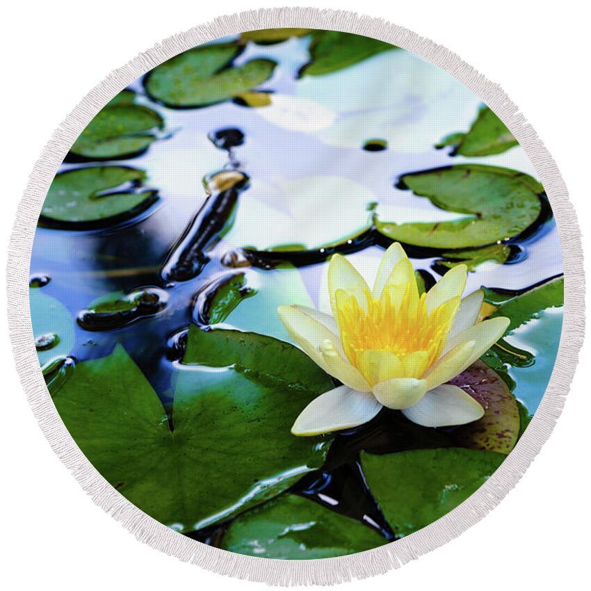Bloom Round Beach Towel featuring the photograph Waterlilly on Blue Pond by Robert FERD Frank