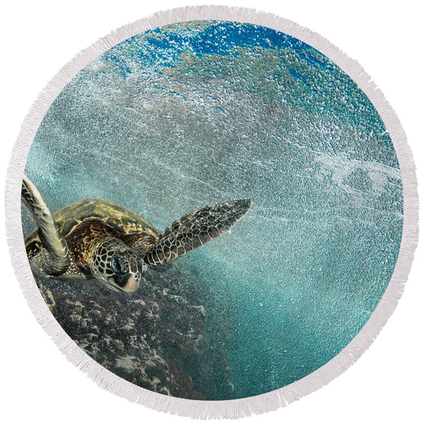 Sea Turtle Round Beach Towel featuring the photograph Wave Rider Turtle by Leonardo Dale