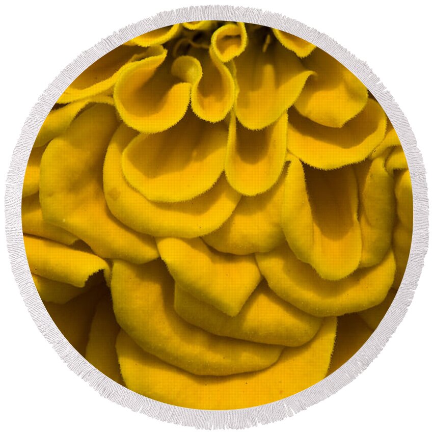 Zinnia Round Beach Towel featuring the photograph Waves and Curls in Yellow by Brian Green