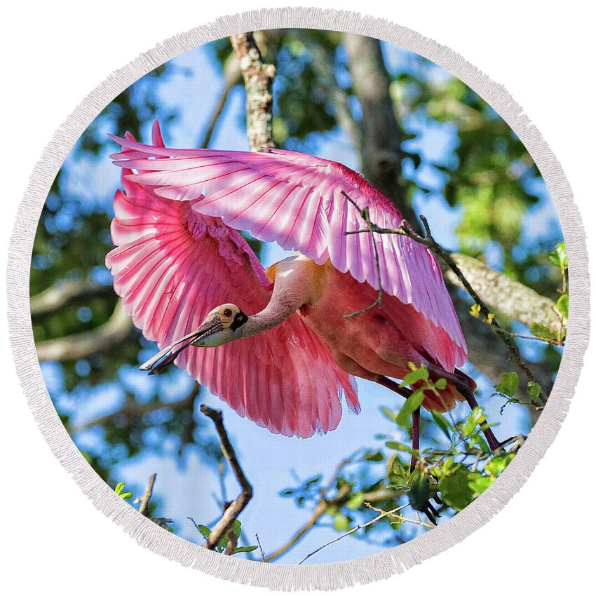 Spoonbills Round Beach Towel featuring the photograph We Have Lift Off by DB Hayes
