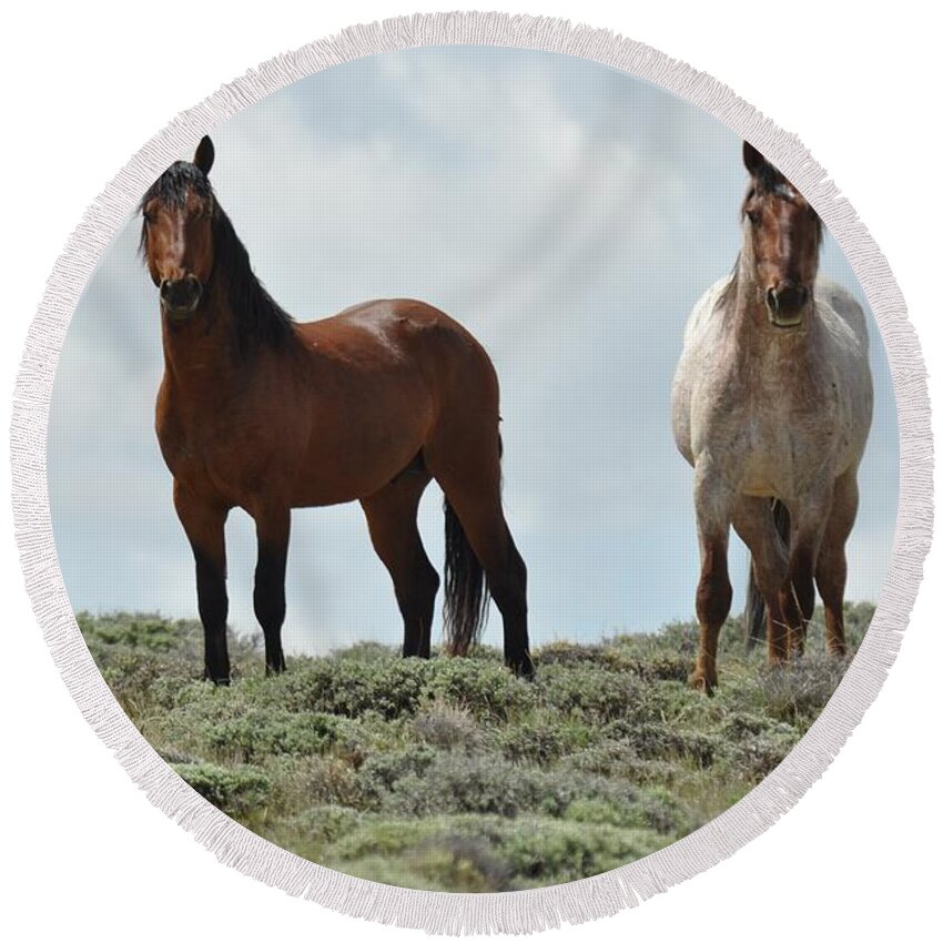 Wild Horses Round Beach Towel featuring the photograph We See You by Frank Madia