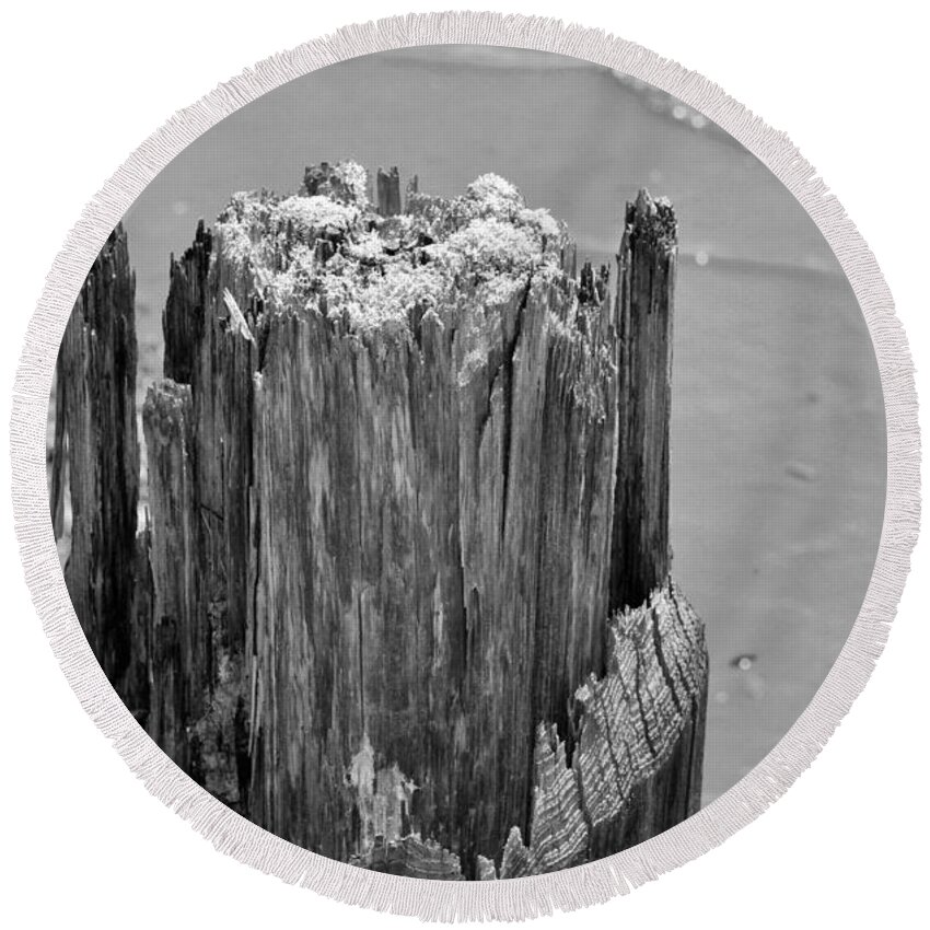 Wood Round Beach Towel featuring the photograph Weathered Wood by Cynthia Guinn