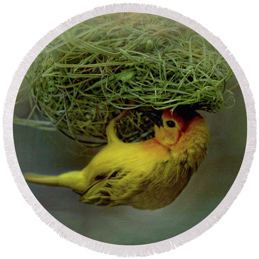 Yellow Round Beach Towel featuring the photograph Weaver Bird Building A Nest by Maria Angelica Maira
