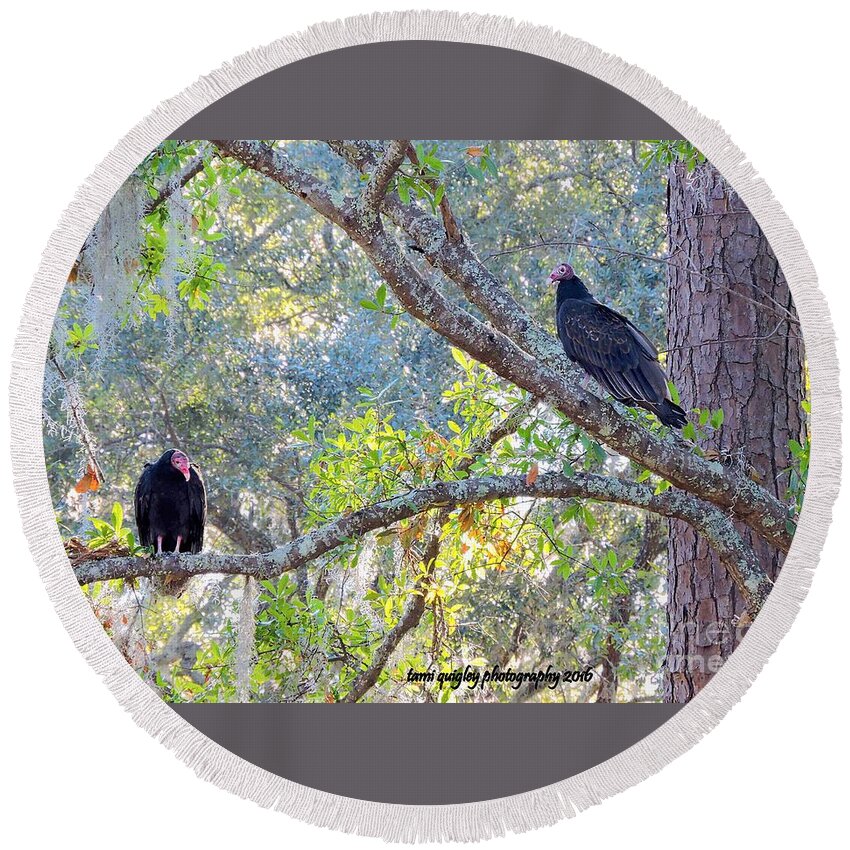 Turkey Vultures Round Beach Towel featuring the photograph We're Just Whistlin' Dixie by Tami Quigley