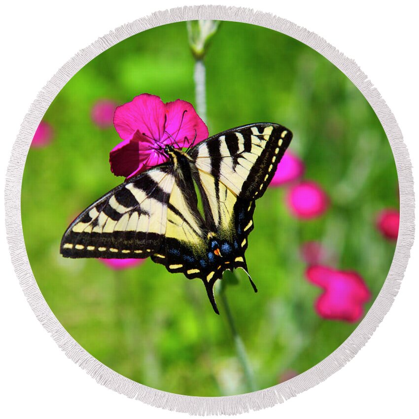 Western Tiger Swallowtail Butterfly Round Beach Towel featuring the photograph Western tiger Swallowtail butterfly by Bruce Block