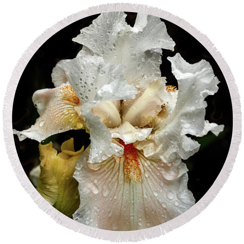 Iris Round Beach Towel featuring the photograph Wet White Iris by Robert Bales