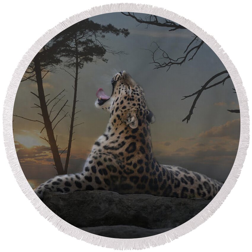 Animal Round Beach Towel featuring the photograph When The Night Comes by Joachim G Pinkawa