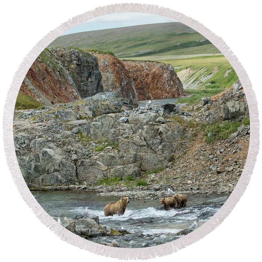 Alaska Round Beach Towel featuring the photograph Where the Bears Are by Cheryl Strahl