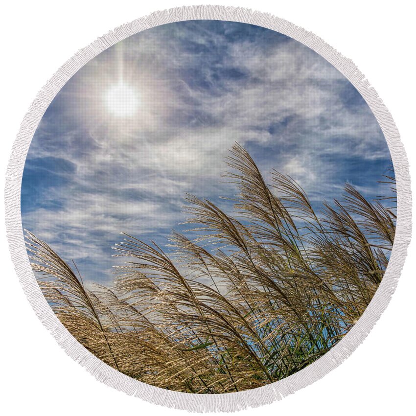 Sunlight Round Beach Towel featuring the photograph Whispering Grasses by Patti Raine