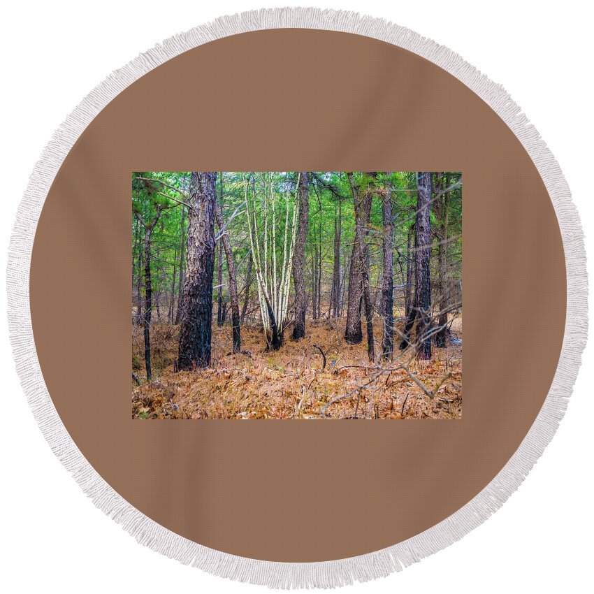 Franklin Parker Preserve Round Beach Towel featuring the photograph White Birches in the Forest by Louis Dallara