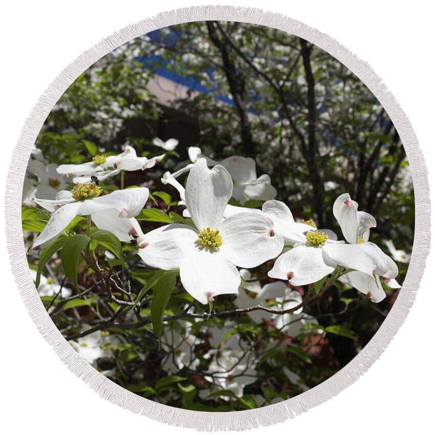 Dogwood Round Beach Towel featuring the photograph White Dogwood Cascade by Michele Myers