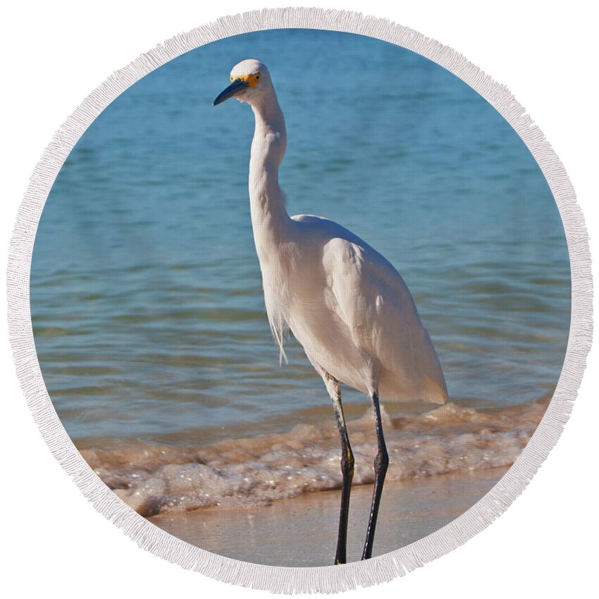Birds Round Beach Towel featuring the photograph White Egret by George D Gordon III