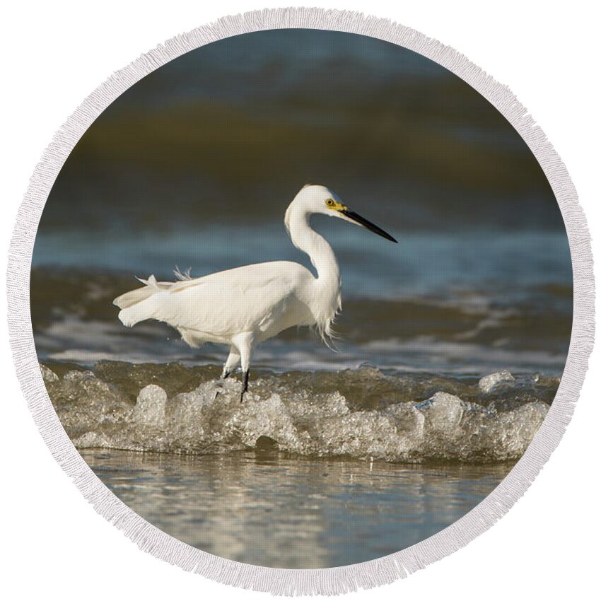 White Round Beach Towel featuring the photograph White Egret Wading on the Shoreline by Artful Imagery