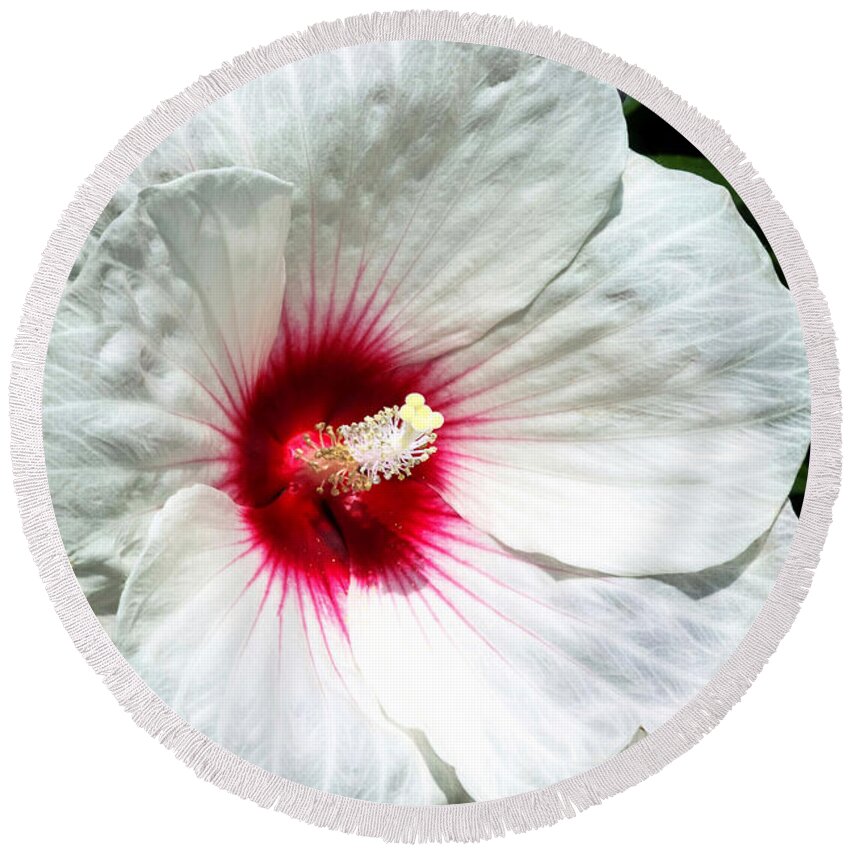 Hibiscus Round Beach Towel featuring the photograph White Hibiscus by Jackson Pearson