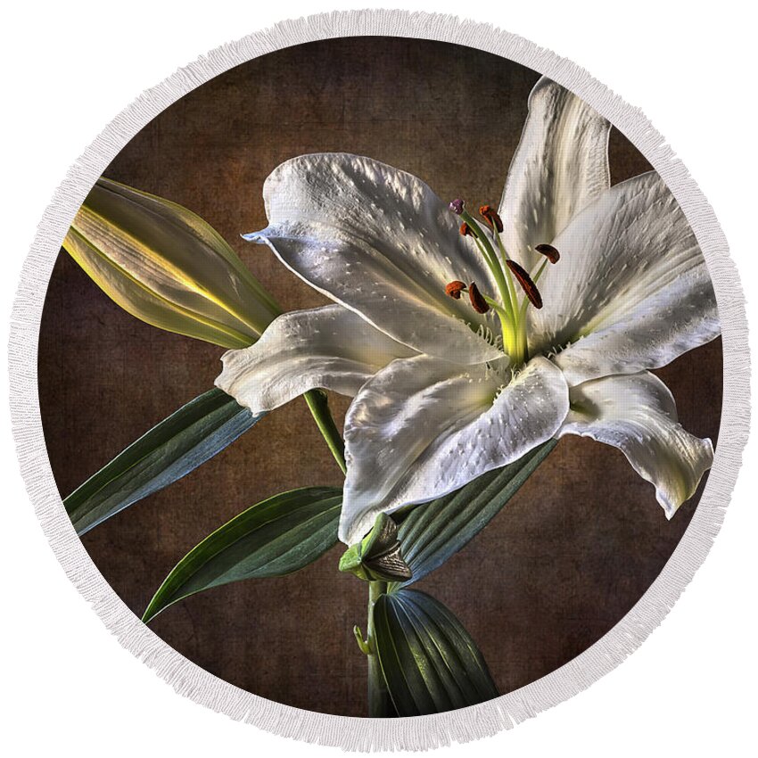 Lily Round Beach Towel featuring the photograph White Lily by Endre Balogh