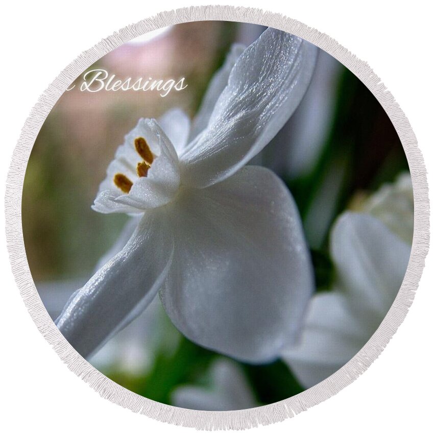 White Narcissi Round Beach Towel featuring the photograph White Narcissi Easter Blessings 3 by Joan-Violet Stretch