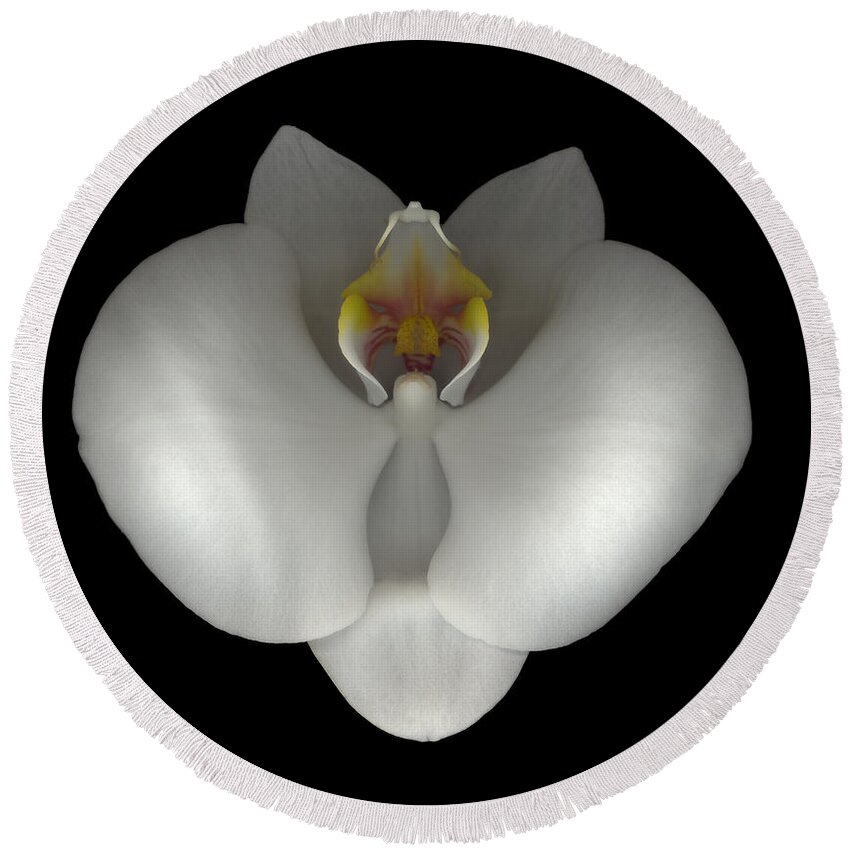  Round Beach Towel featuring the photograph White Orchid on Black by Heather Kirk