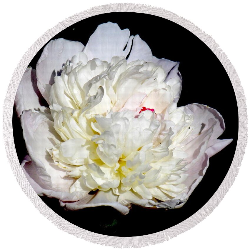 Photograph Round Beach Towel featuring the photograph White Peony II by Delynn Addams