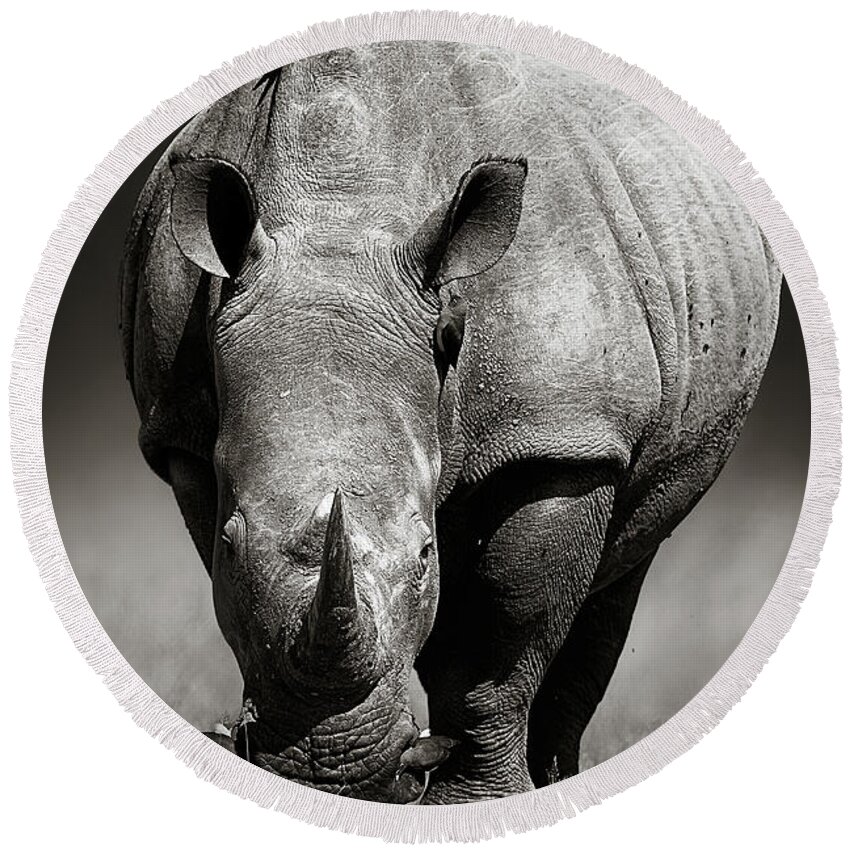 Rhinoceros Round Beach Towel featuring the photograph White Rhinoceros in due-tone by Johan Swanepoel