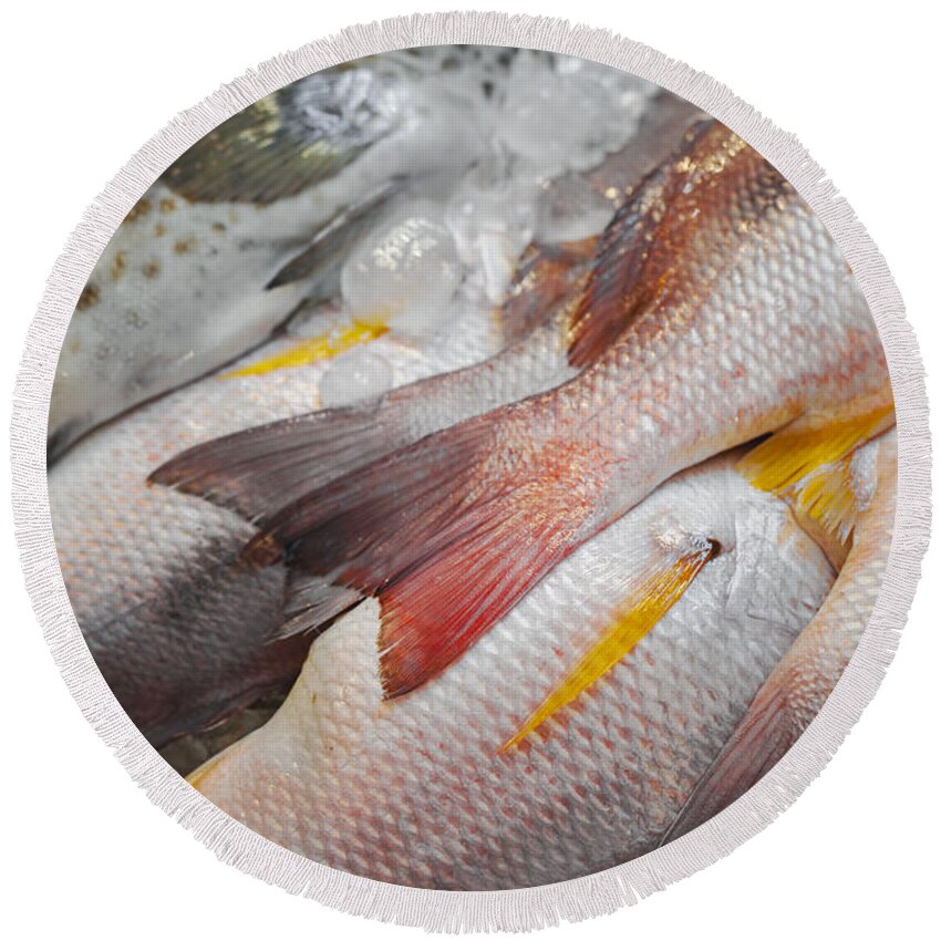 Thai Round Beach Towel featuring the photograph White snapper fish by Sophie McAulay