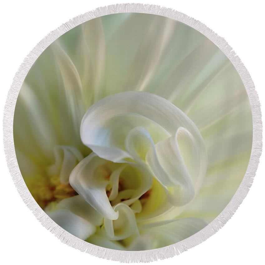 Dahlia Round Beach Towel featuring the photograph White Spiral by Mary Jo Allen