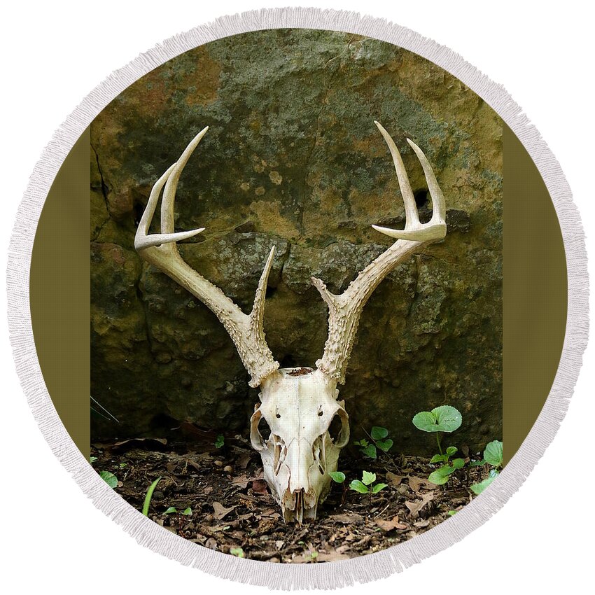 Nature Round Beach Towel featuring the photograph White-tailed Deer Skull in the Woods by Sheila Brown