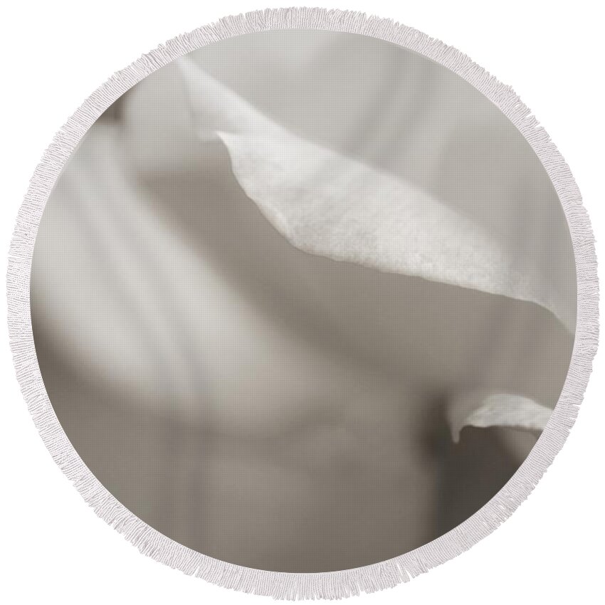 White Roses Round Beach Towel featuring the photograph White Tender Rose by The Art Of Marilyn Ridoutt-Greene