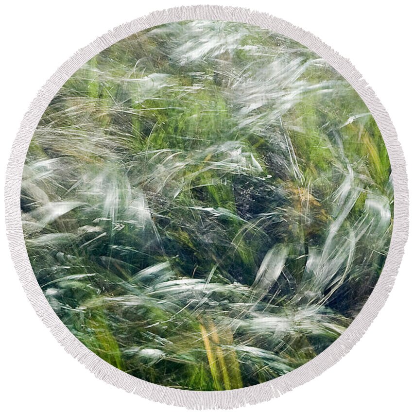 Foxtails Round Beach Towel featuring the photograph Who Has Seen the Wind by Linda McRae