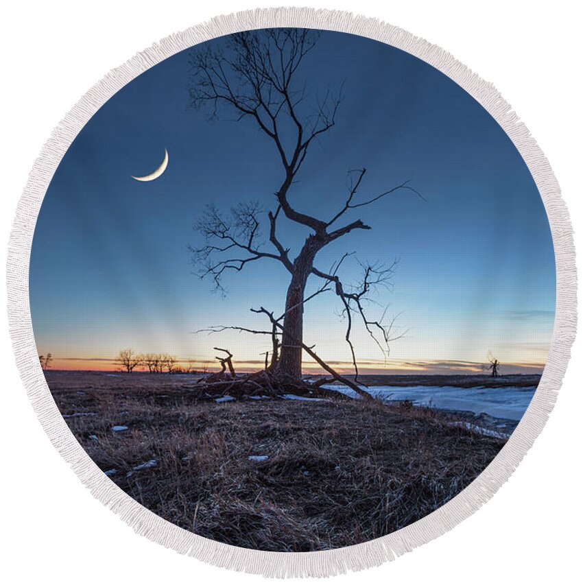 Moon Round Beach Towel featuring the photograph Wicked Tree by Aaron J Groen