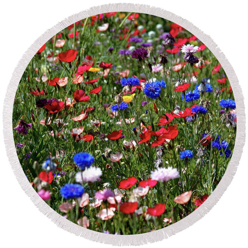 Flowers Round Beach Towel featuring the photograph Wild Flower Meadow 2 by Baggieoldboy