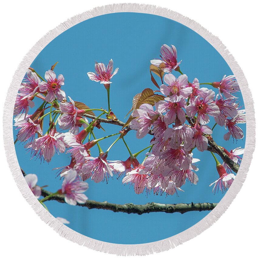 Nature Round Beach Towel featuring the photograph Wild Himalayan Cherry DTHN0220 by Gerry Gantt