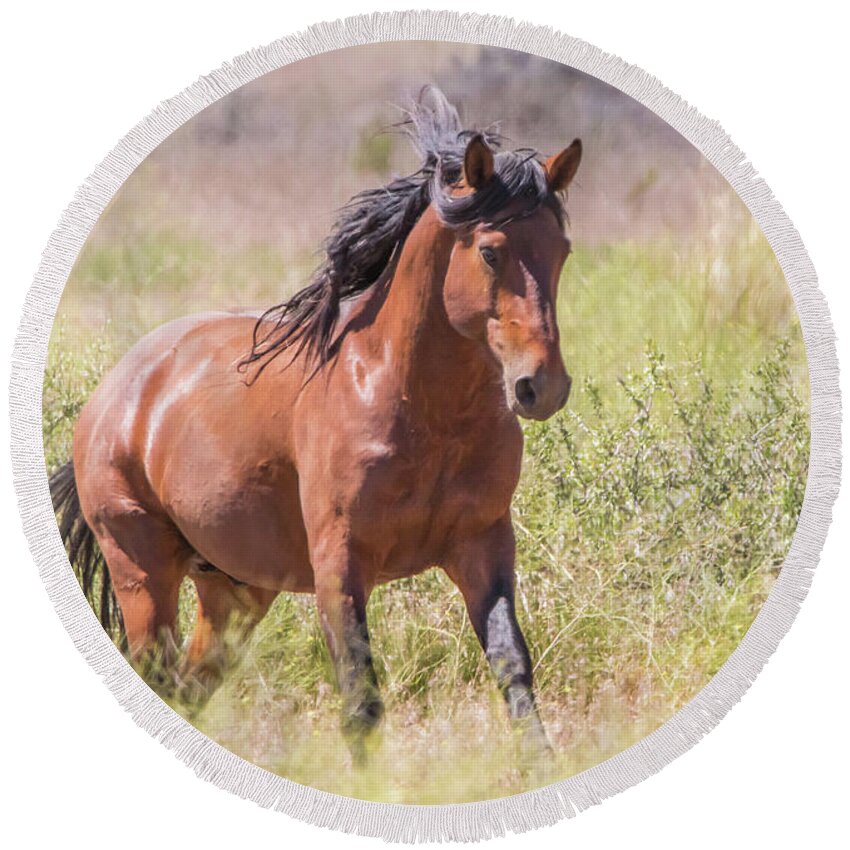 Nevada Round Beach Towel featuring the photograph Wild Horse Gallop by Marc Crumpler
