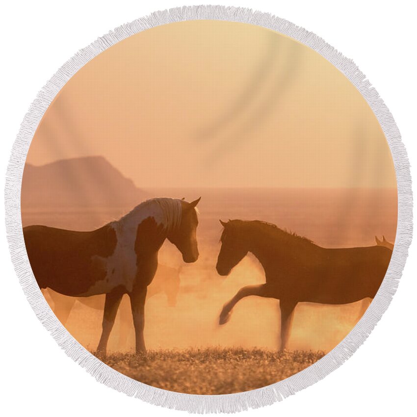 Horse Round Beach Towel featuring the photograph Wild Horse Glow by Wesley Aston