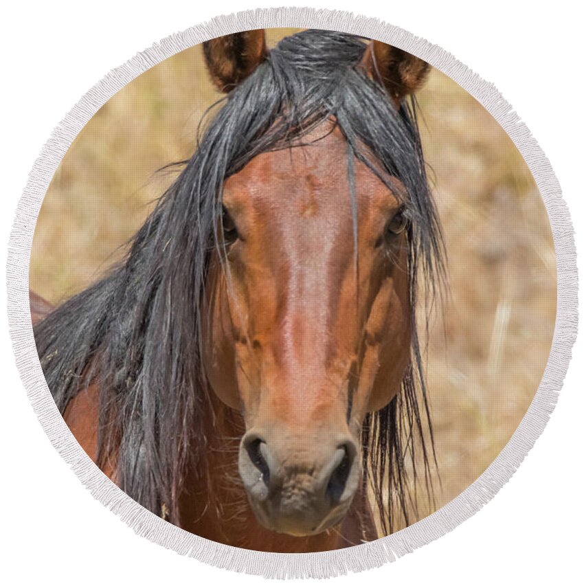 Nevada Round Beach Towel featuring the photograph Wild Horse Portrait by Marc Crumpler