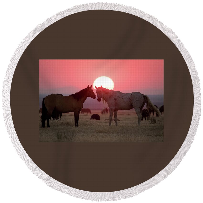 Wild Horse Round Beach Towel featuring the photograph Wild Horse Sunset by Wesley Aston