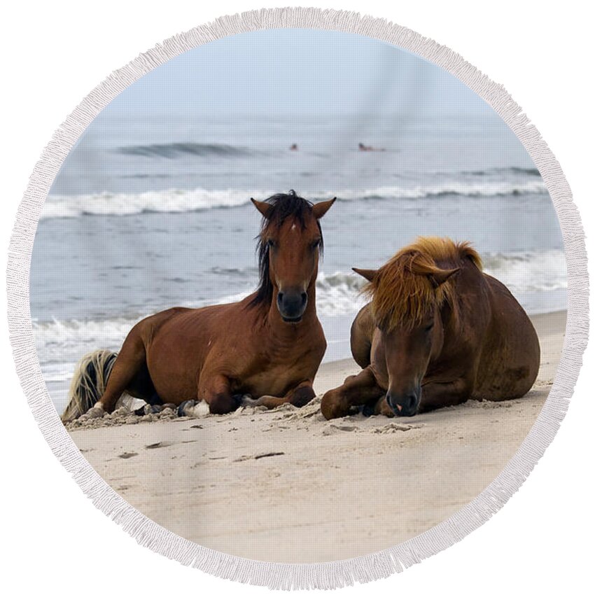 Wild Horses Round Beach Towel featuring the photograph Wild Horses of Assateague Island by Edward Kreis