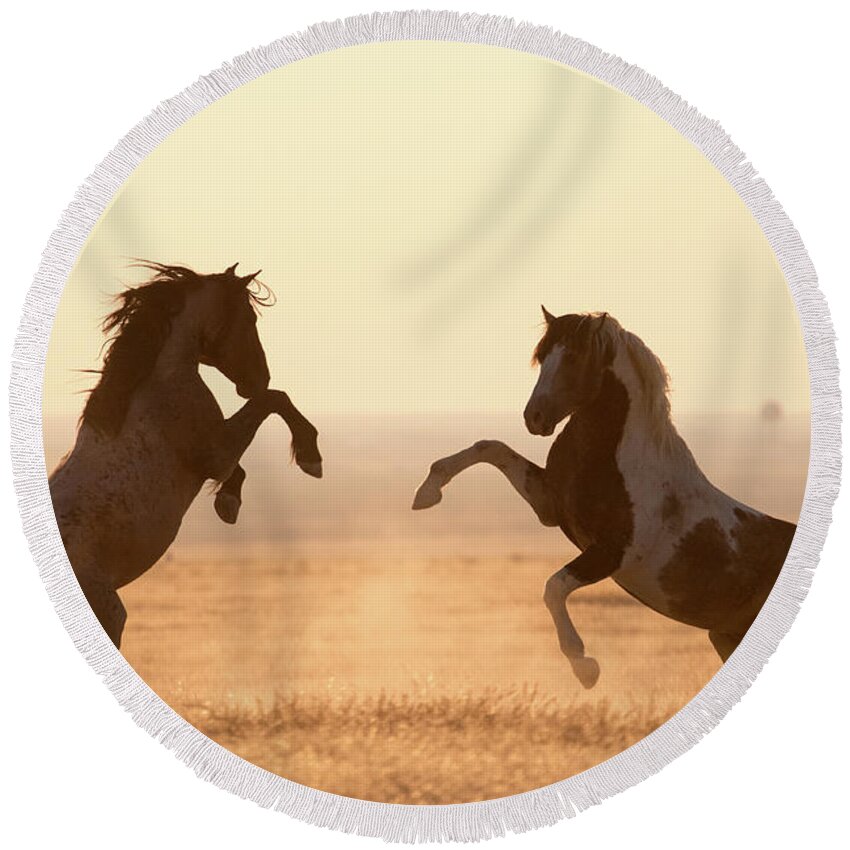 Wild Horses Round Beach Towel featuring the photograph Wild Horses by Wesley Aston