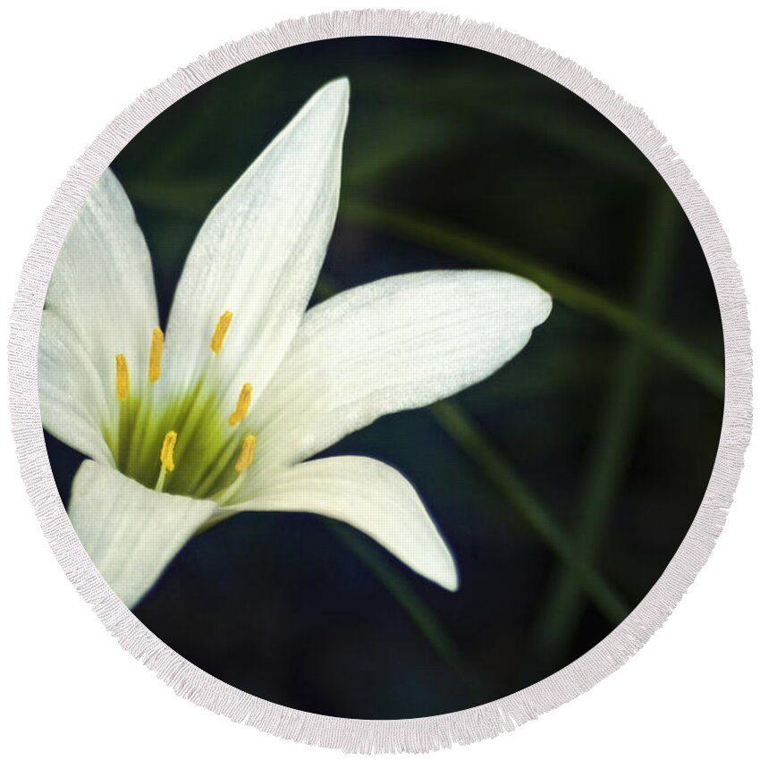 Lily Round Beach Towel featuring the photograph Wild Lily by Carolyn Marshall
