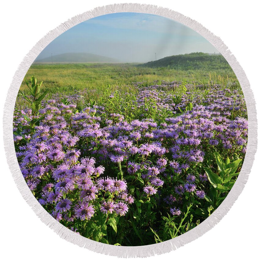 Black Eyed Susan Round Beach Towel featuring the photograph Wild Mints Galore in Glacial Park by Ray Mathis