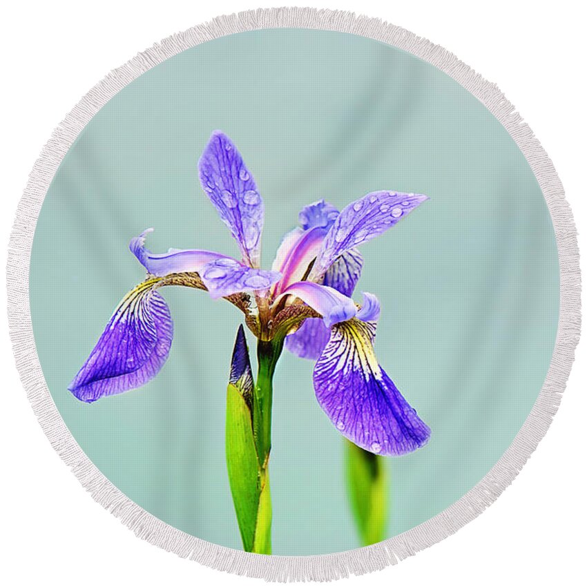 Wild Iris Photo Round Beach Towel featuring the photograph Wild Purple Iris Print by Gwen Gibson