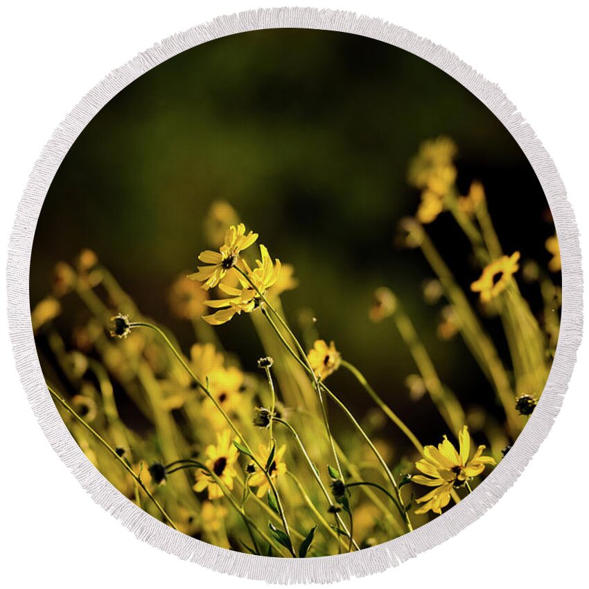 Wild Spring Flowers Round Beach Towel featuring the photograph Wild Spring Flowers by Kelly Wade