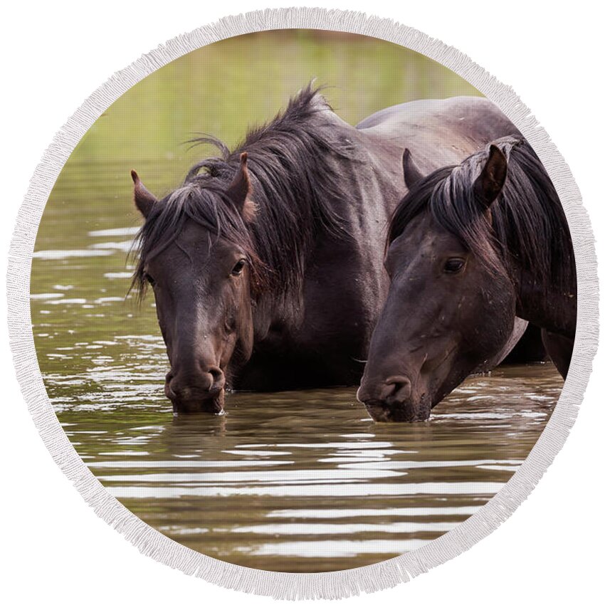 Mark Miller Photos Round Beach Towel featuring the photograph Wild Stallions at the Water Hole by Mark Miller