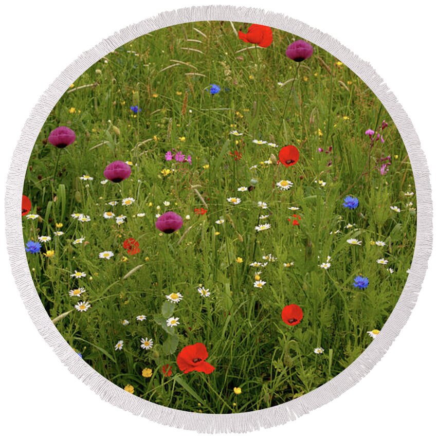 Summer Round Beach Towel featuring the photograph Wild Summer Meadow by Stephen Melia
