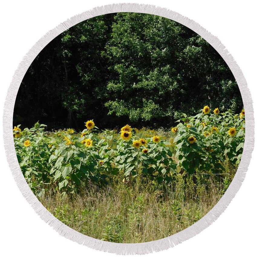 Northfield Round Beach Towel featuring the photograph Wild Sunflowers by Catherine Gagne
