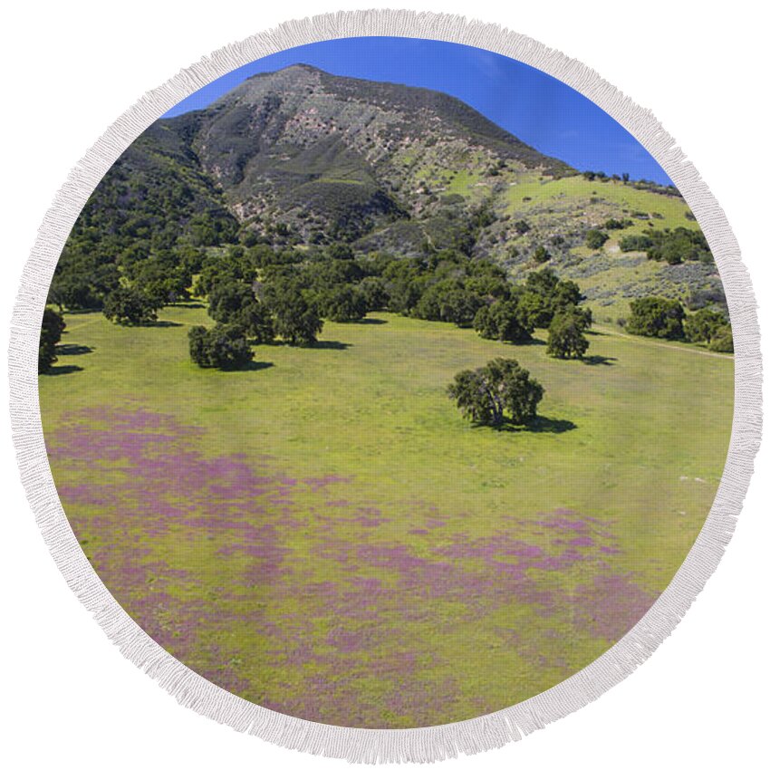 Above Round Beach Towel featuring the photograph Wildflower Bloom in Carmel Valley by David Levy
